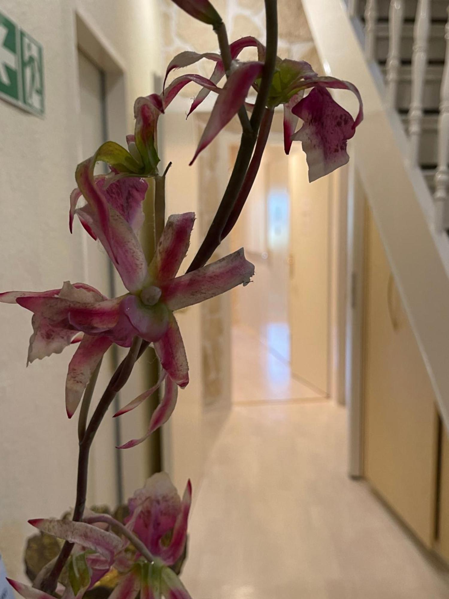 Hotel Villa Vital Munster Ngoại thất bức ảnh